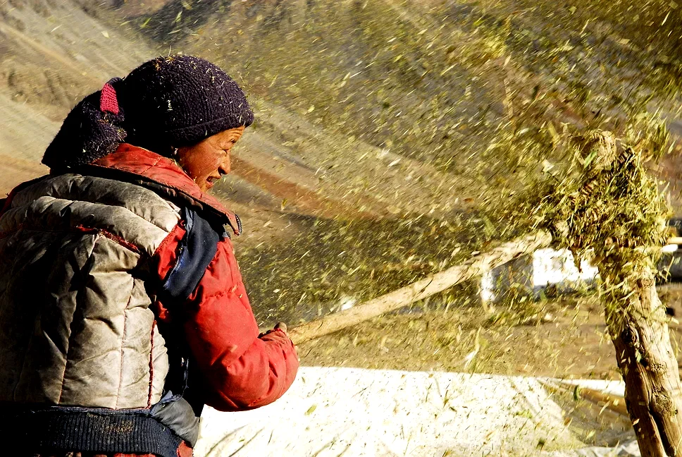 Photo du film : Himalaya, la terre des femmes