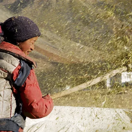 Miniature photo du film : Himalaya, la terre des femmes