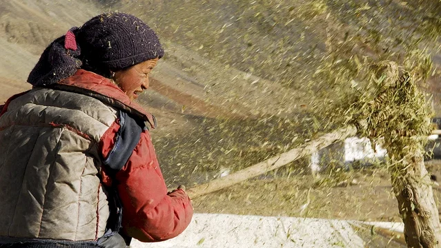 Photo 4 du film : Himalaya, la terre des femmes