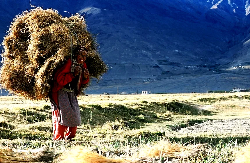 Photo du film : Himalaya, la terre des femmes