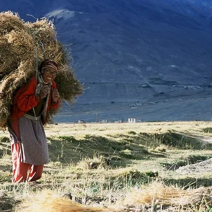 Miniature photo du film : Himalaya, la terre des femmes