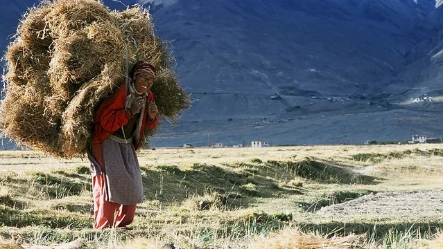 Photo 5 du film : Himalaya, la terre des femmes