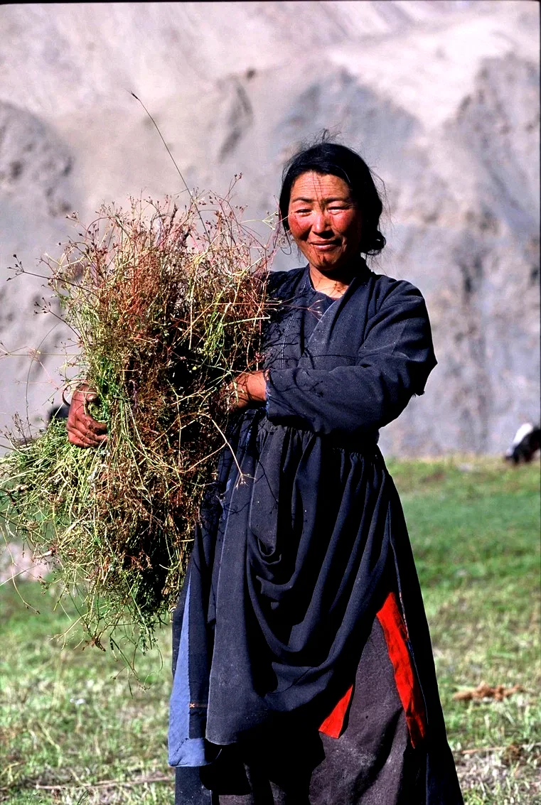 Photo du film : Himalaya, la terre des femmes