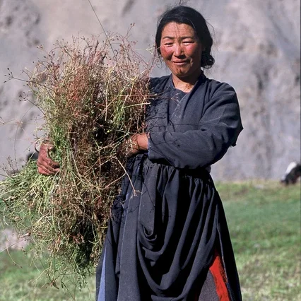 Miniature photo du film : Himalaya, la terre des femmes