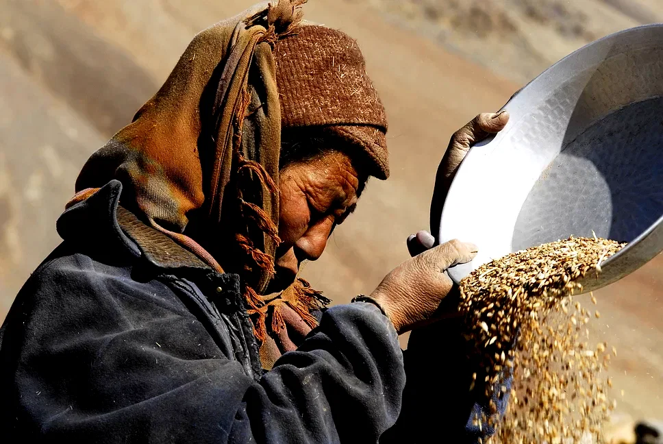 Photo du film : Himalaya, la terre des femmes