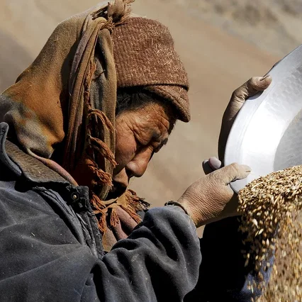 Miniature photo du film : Himalaya, la terre des femmes