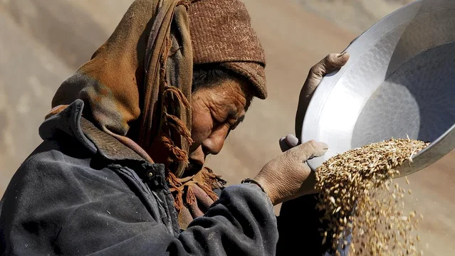 Photo 7 du film : Himalaya, la terre des femmes