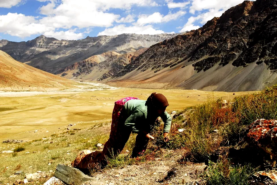 Photo du film : Himalaya, la terre des femmes