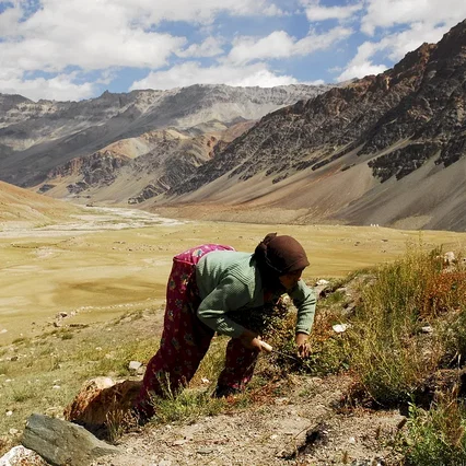 Miniature photo du film : Himalaya, la terre des femmes