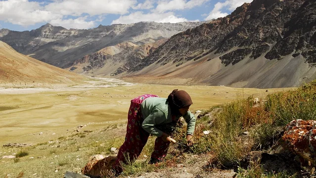 Photo 9 du film : Himalaya, la terre des femmes