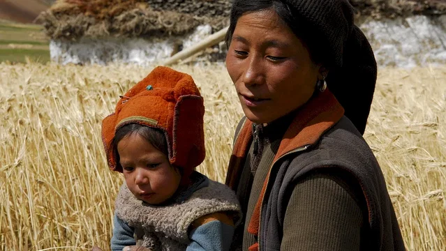 Affiche du film : Himalaya, la terre des femmes