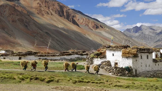 Photo 8 du film : Himalaya, la terre des femmes