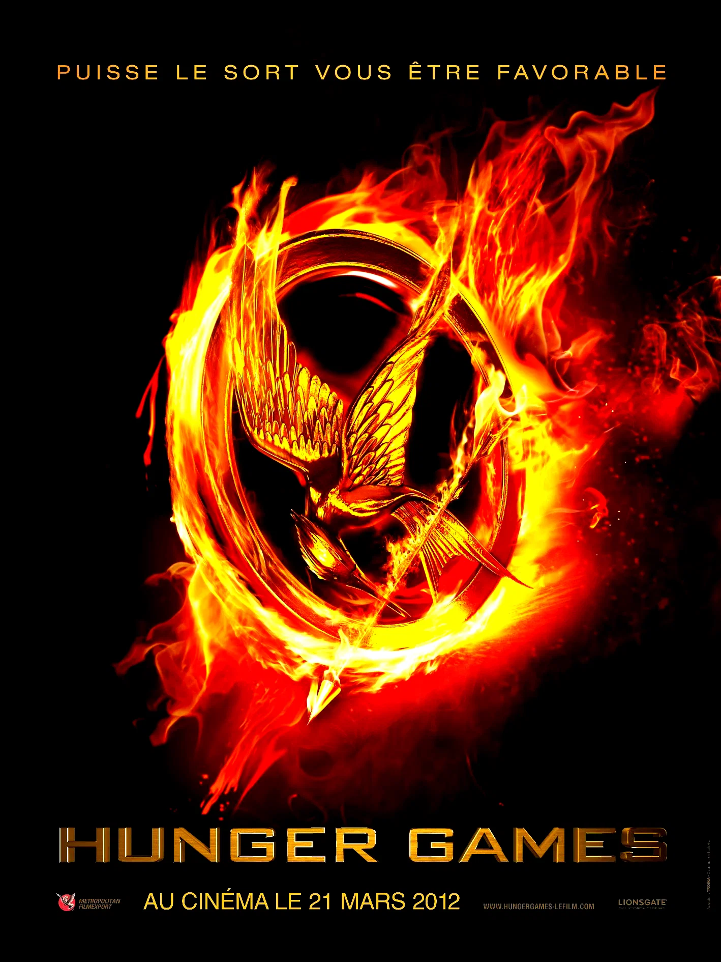 Affiche du film : Hunger Games