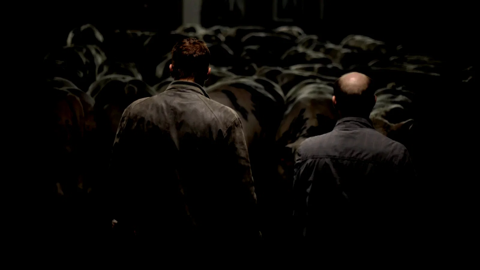 Photo 3 du film : Bullhead