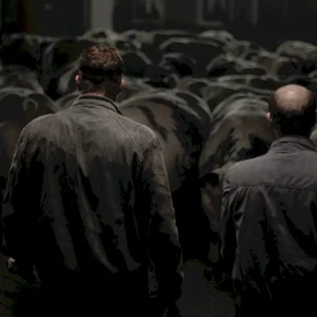 Photo du film : Bullhead