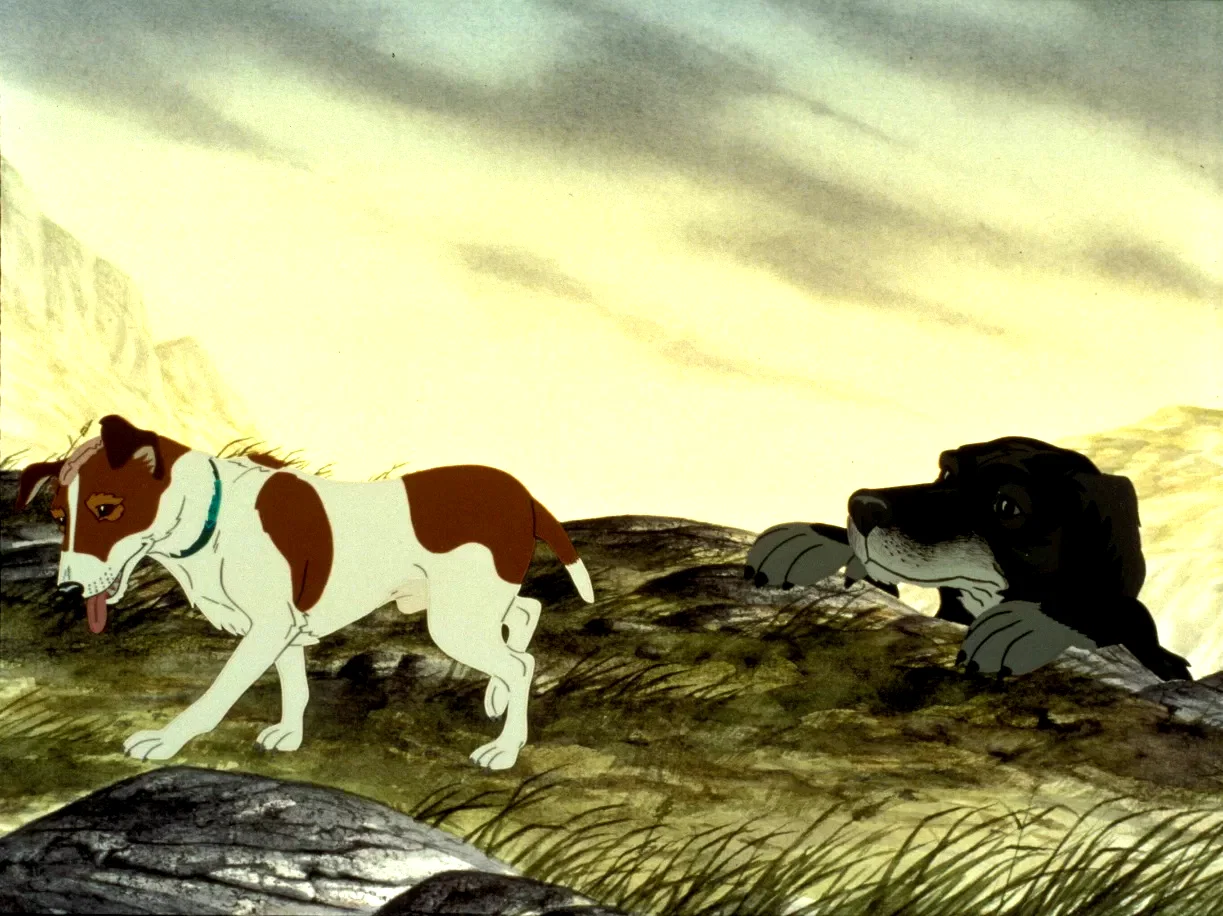Affiche du film : The plague dogs