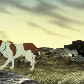 Photo du film : The plague dogs