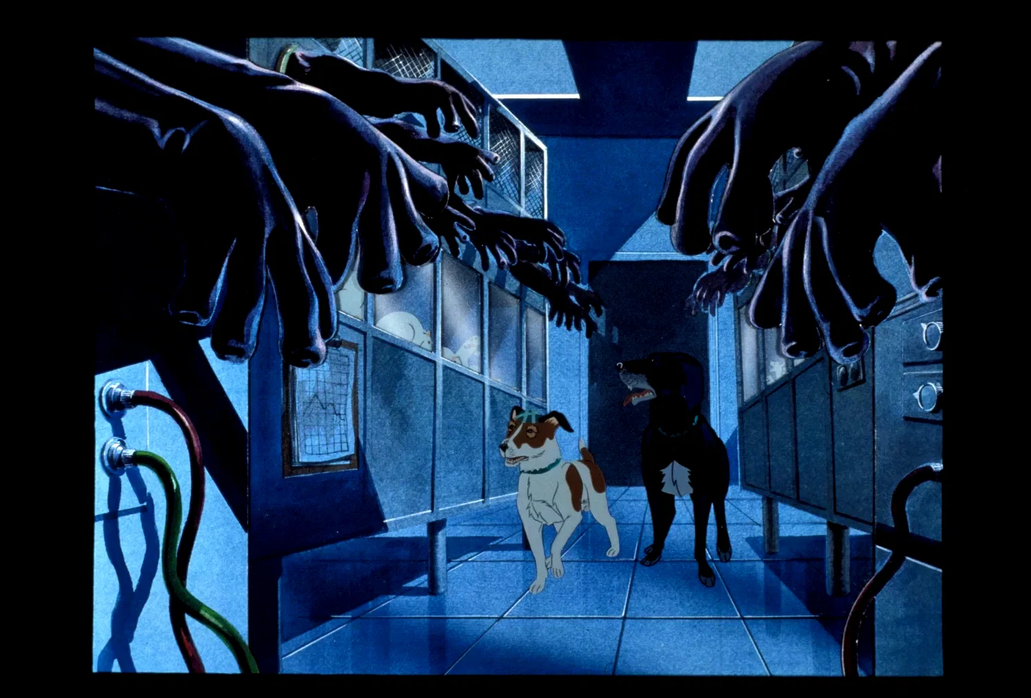 Photo 2 du film : The plague dogs
