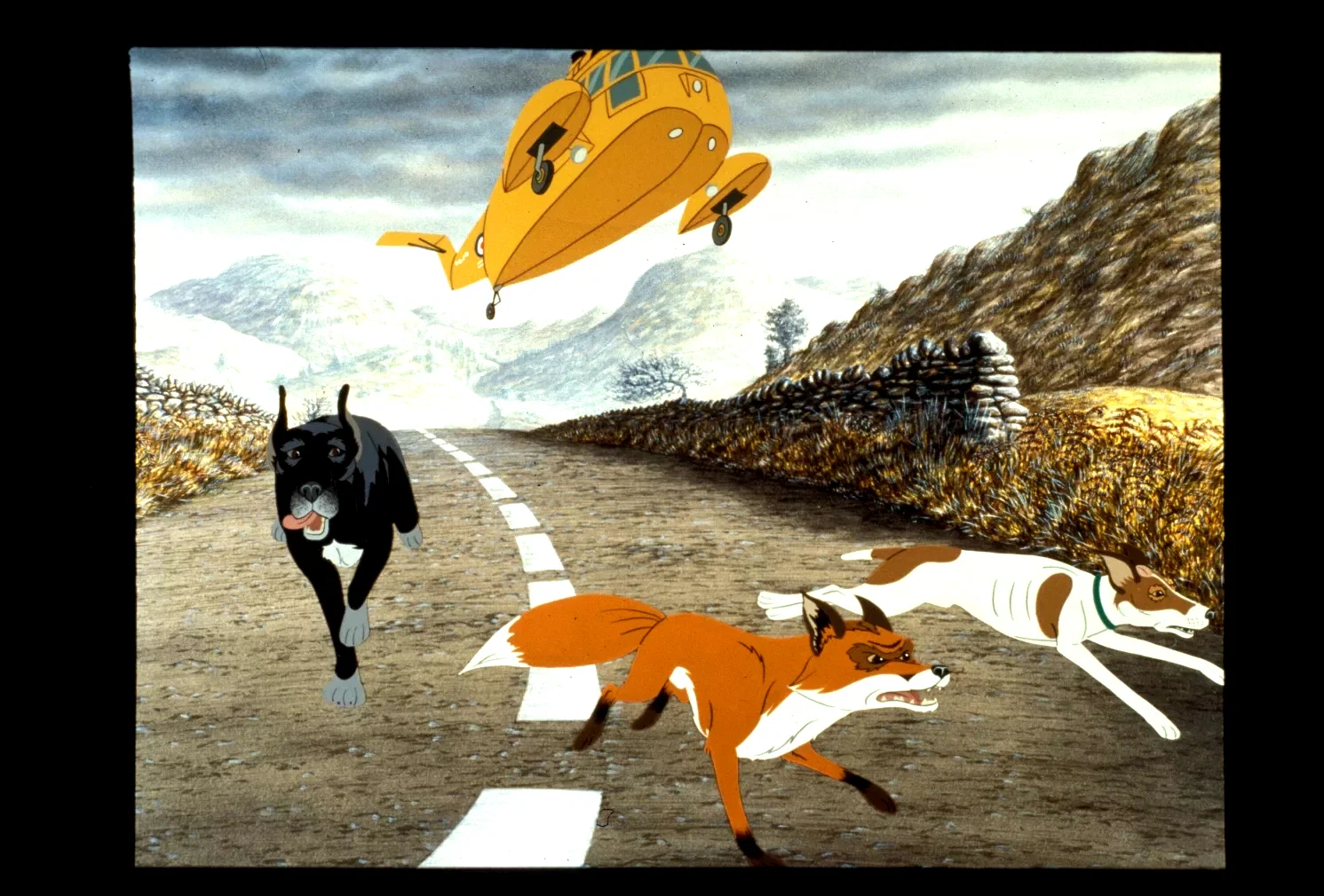 Photo 3 du film : The plague dogs