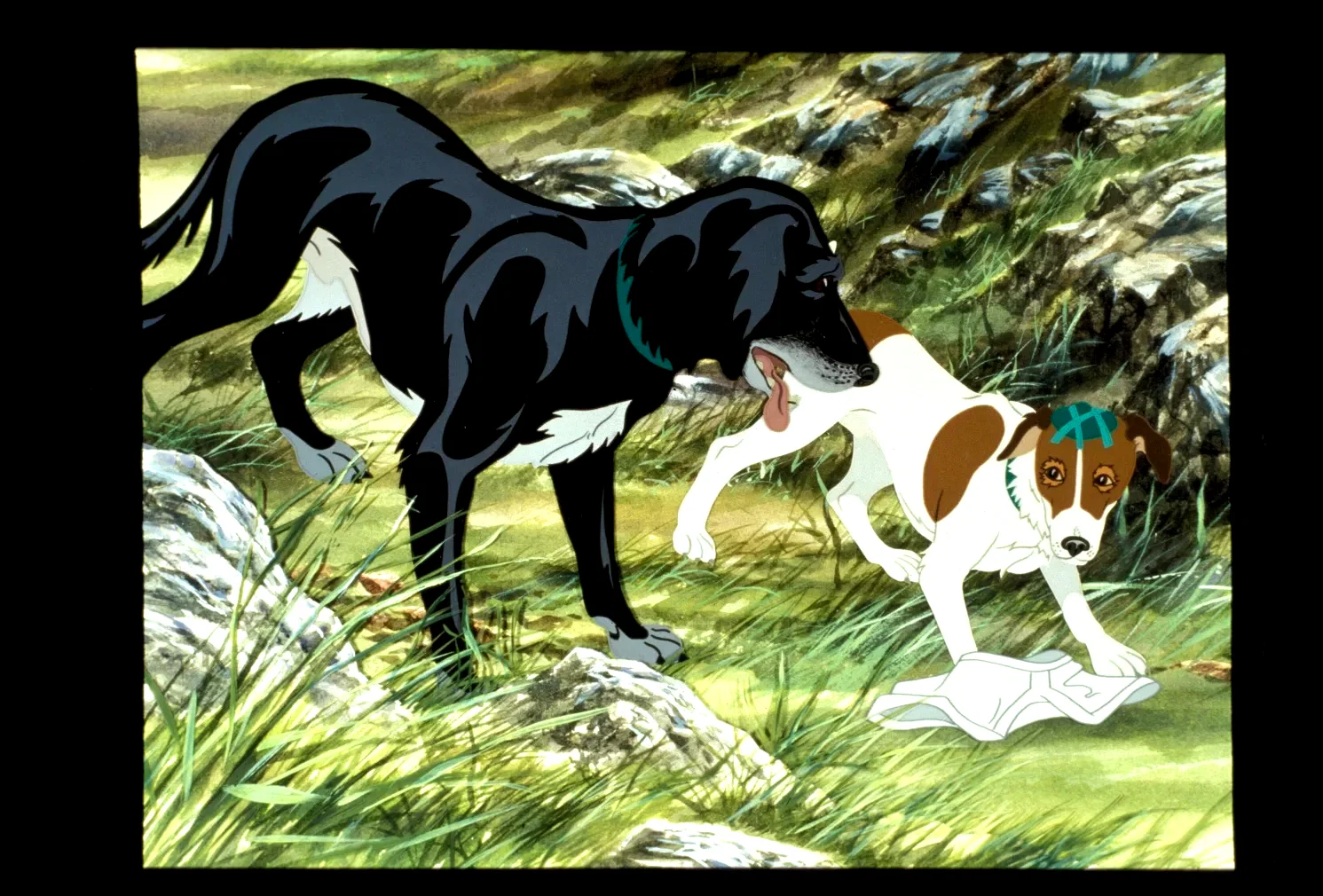 Photo 7 du film : The plague dogs