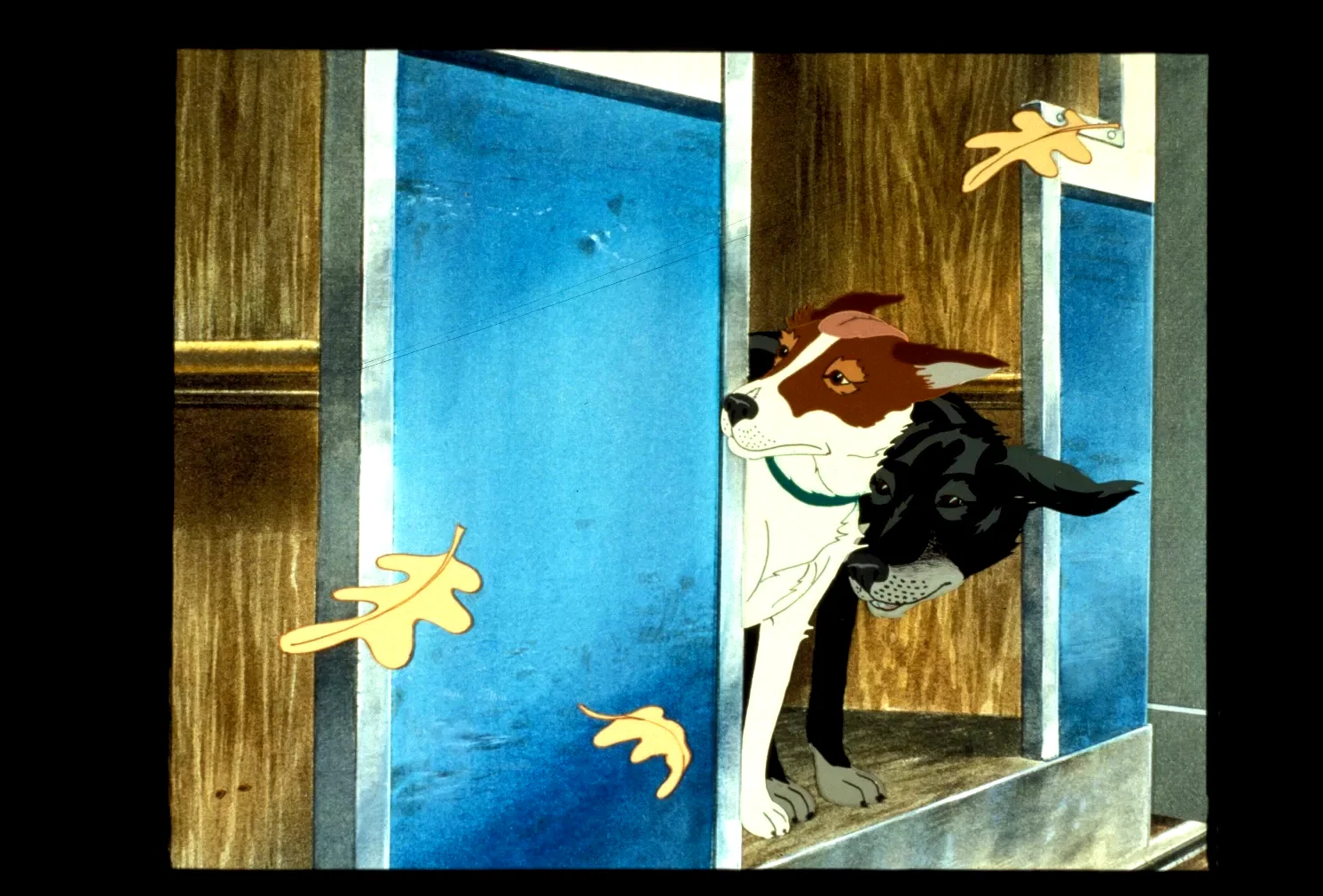 Photo 6 du film : The plague dogs