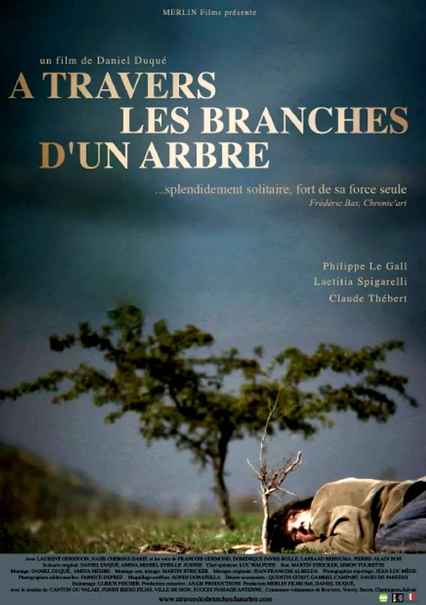 Affiche du film : A travers les branches d’un arbre