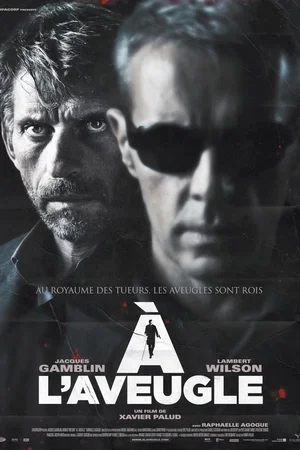 Affiche du film : A l'aveugle