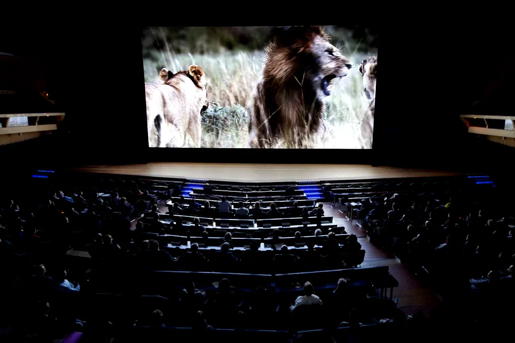 Photo 33 du film : Félins