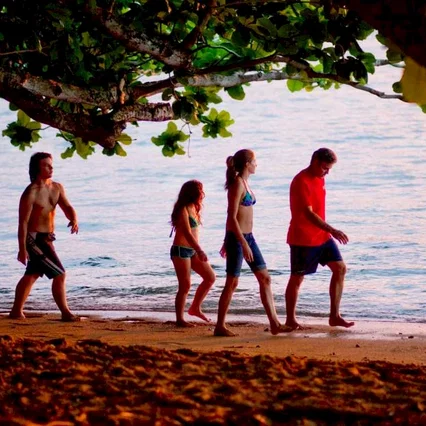 Miniature photo du film : The Descendants