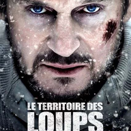 Miniature photo du film : Le territoire des loups