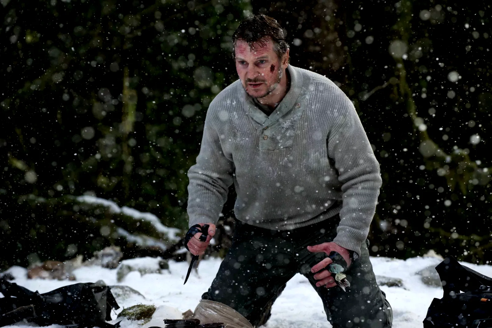 Photo du film : Le territoire des loups