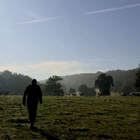 Photo du film : Bovines