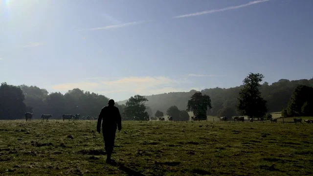 Photo 4 du film : Bovines