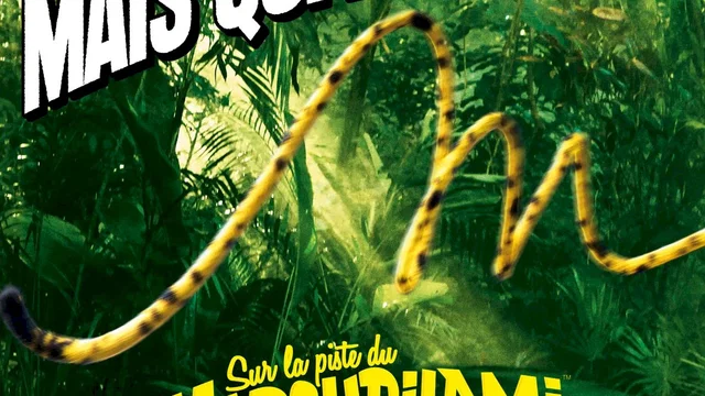 Affiche du film : Sur la piste du Marsupilami