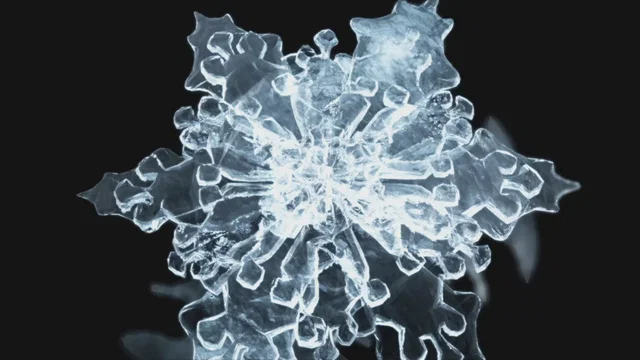 Affiche du film : Water, Le Pouvoir Secret de l'Eau