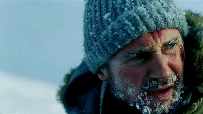 Photo du film : Le territoire des loups