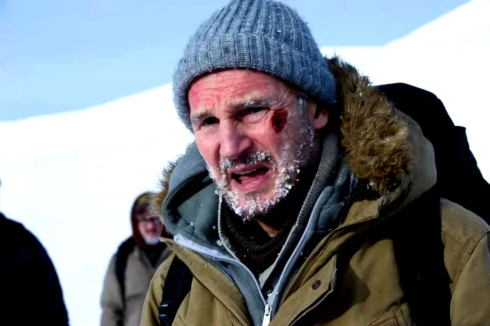 Photo du film : Le territoire des loups