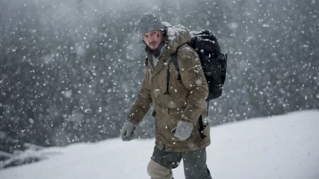 Affiche du film : Le territoire des loups
