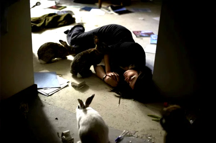 Photo 9 du film : Perfect Sense