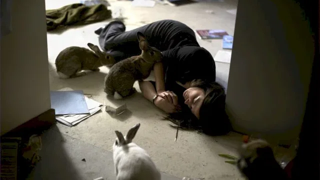 Photo du film : Perfect Sense