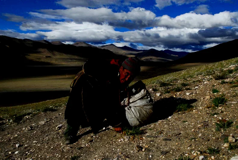 Photo 3 du film : La nuit nomade