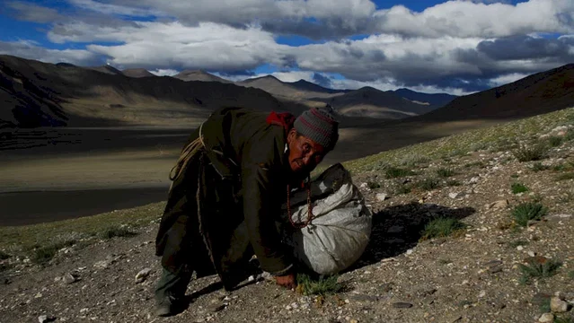 Photo 3 du film : La nuit nomade