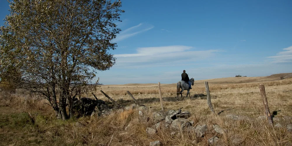 Photo du film : L'hiver dernier