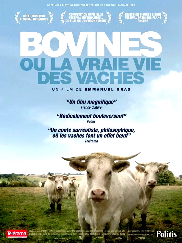 Affiche du film : Bovines