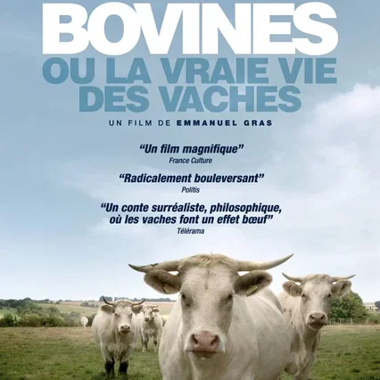 Miniature photo du film : Bovines