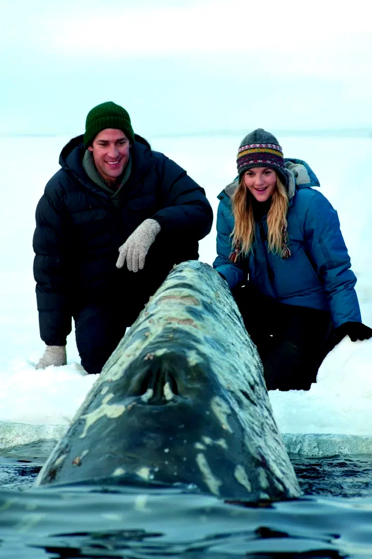 Photo 10 du film : Miracle en Alaska