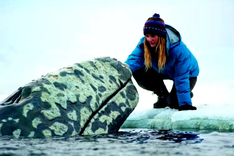 Photo 15 du film : Miracle en Alaska