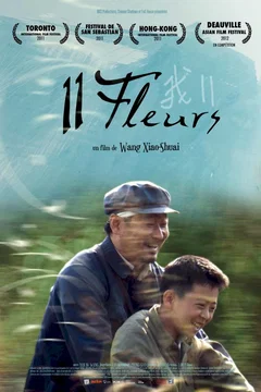Affiche du film = 11 Fleurs