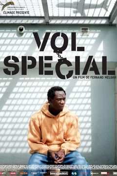Affiche du film Vol spécial