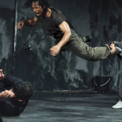 Miniature photo du film : The raid
